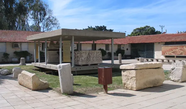 Ashkelon Philistine Cemetery and DNA Study
