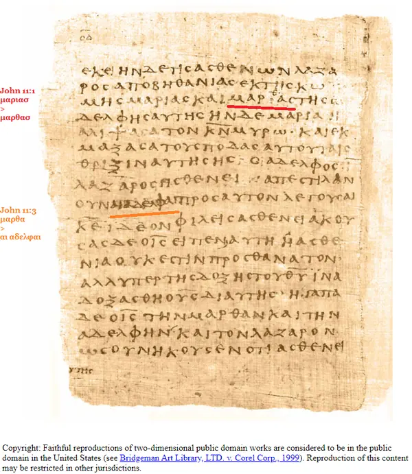 Bodmer Papyri P66 and P75