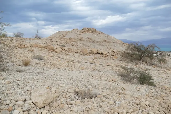 En-Gedi (Tel Goren) Stratum V