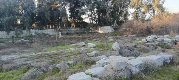 Temple of Artemis at Ephesus