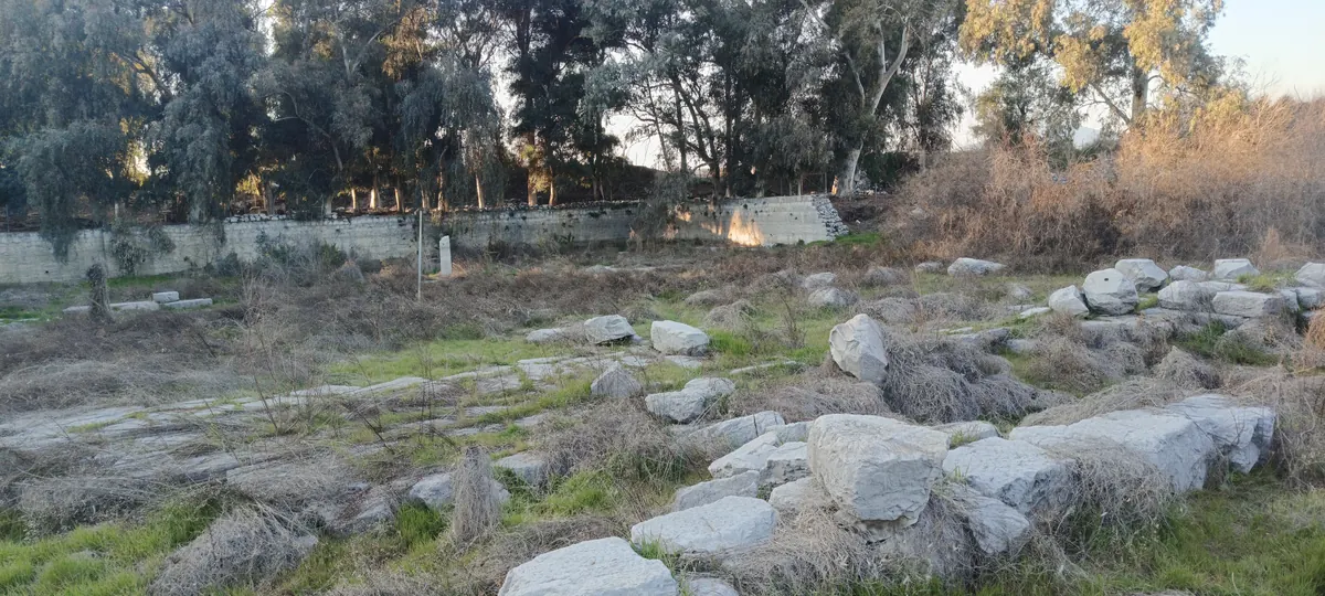 Single ancient column standing in a marshy field