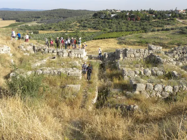 Gezer Tenth-Century Destruction Layer