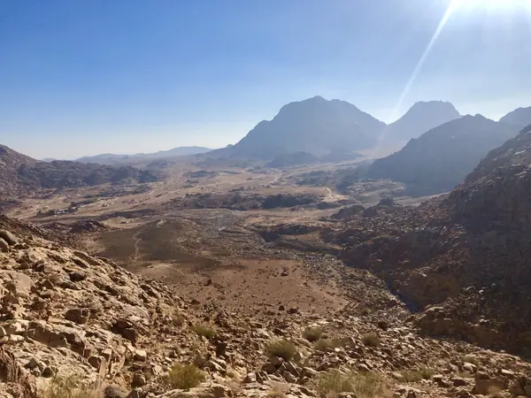 The 'Golden Calf Altar' Petroglyphs at Jabal al-Lawz