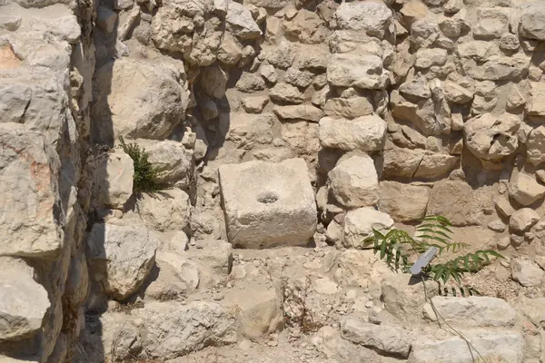Jerusalem's Iron Age Toilets and Their Parasites