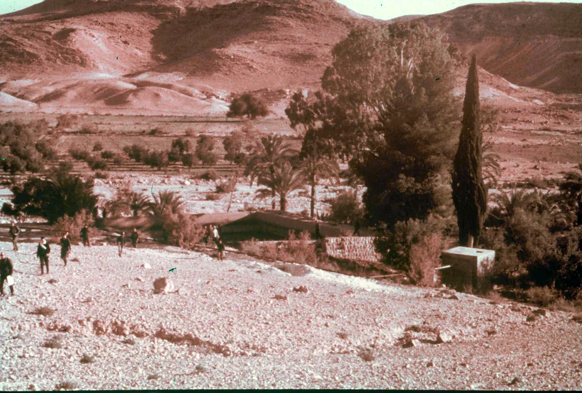 Desert oasis with palm trees beside a low mound