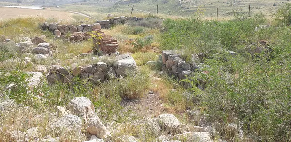 Khirbet Raddana and the Four-Room House