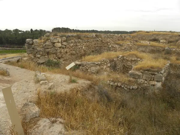 Lachish Gate Shrine and Desecrated Toilet