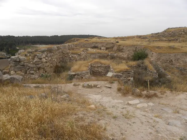 Lachish Level V