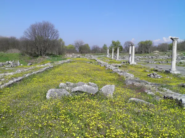 Philippi: Forum, Bema, and the Prison Tradition