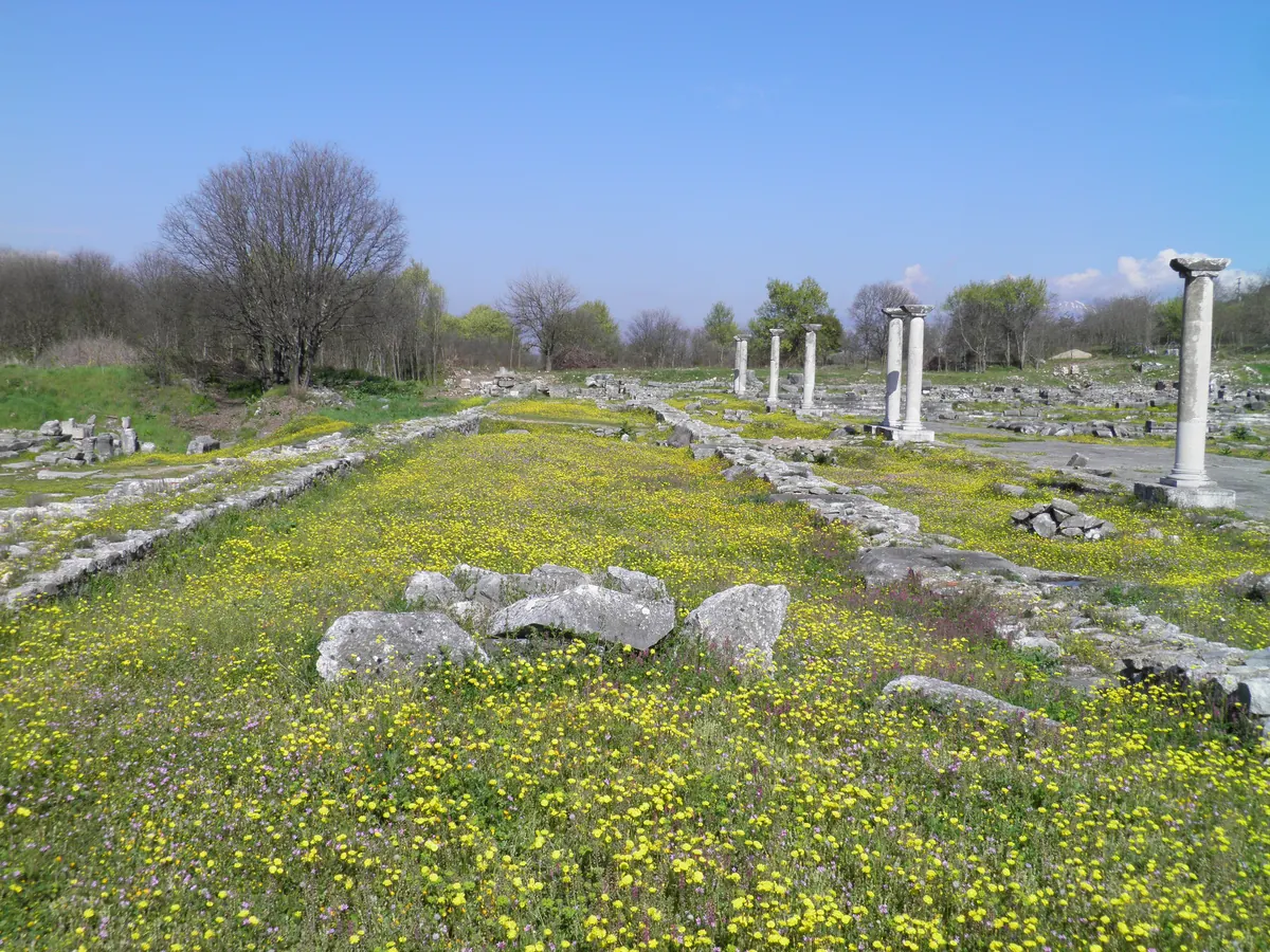 Paved ancient forum with column bases and hills behind