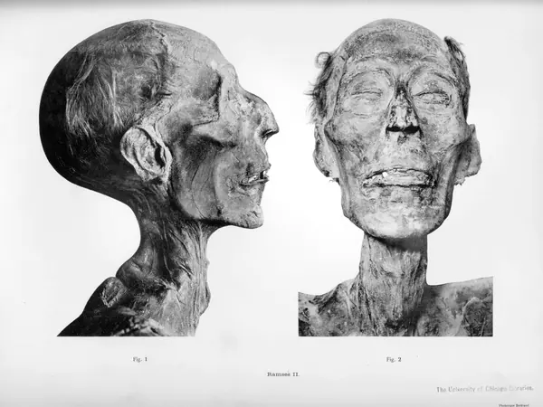 Mummies of Ramesses II and Merneptah