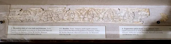 Samaria Ivories