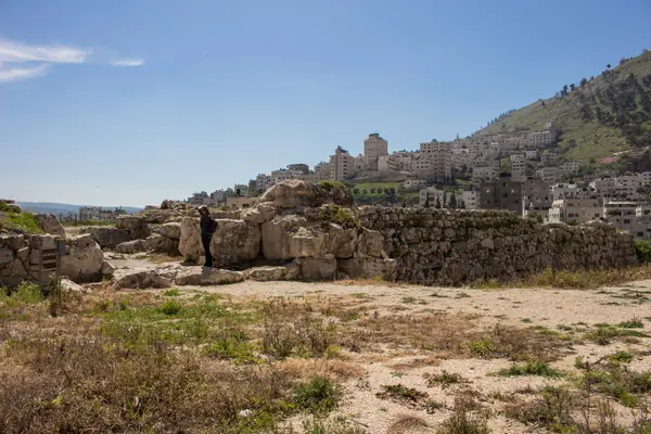 Shechem (Tell Balata) Temple-Fortress