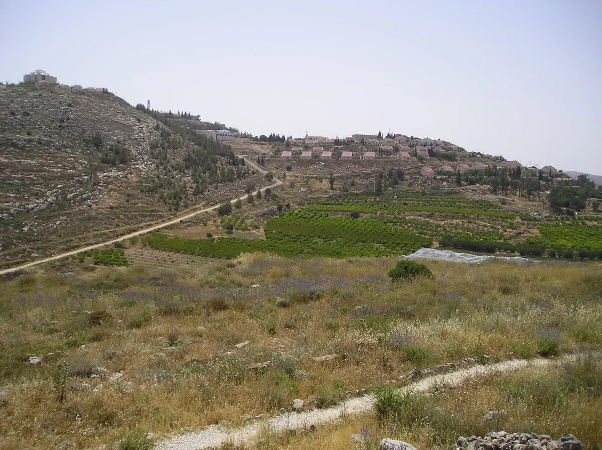 Stone walls of excavated rooms at Shiloh