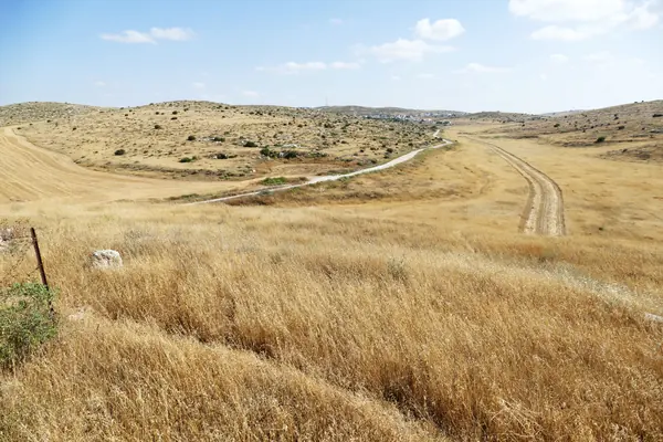 Tel 'Eton Standing Stone and Hezekiah's Reform