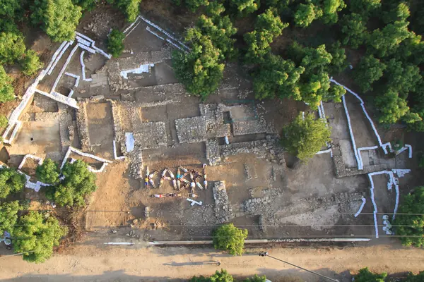 Tel Kabri: Canaanite Palace and the Oldest Wine Cellar