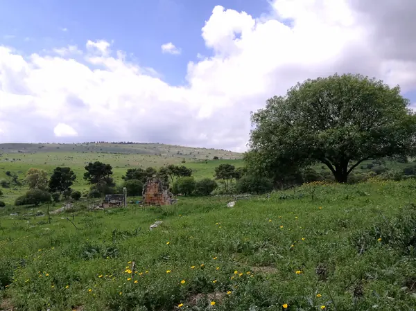 Tel Kedesh: The Persian–Hellenistic Administrative Building and Its 2,000 Bullae