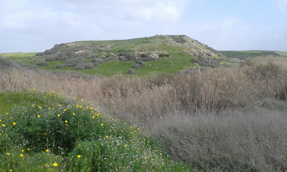 Low archaeological mound in the western Negev