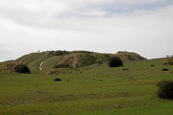 Tell el-Far'ah (South): Egyptian Residency and Anthropoid Coffins
