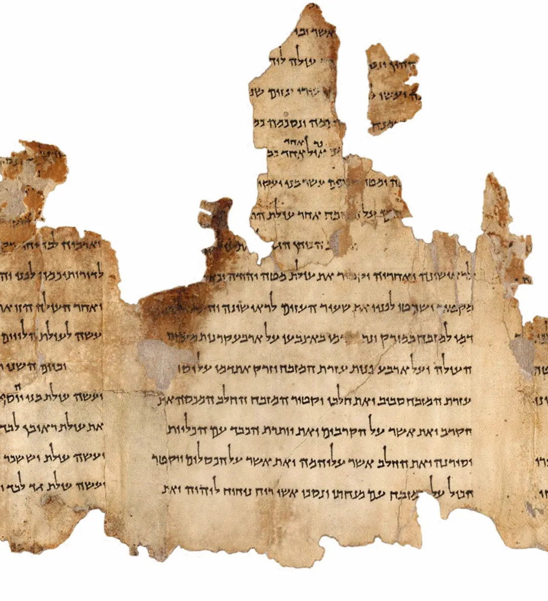 Parchment column of Hebrew text from the Temple Scroll