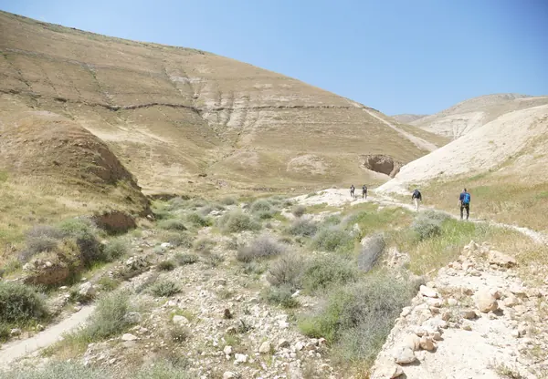 Wadi Daliyeh (Samaria) Papyri